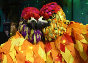 Bilder vom Börner Maskenball 2026