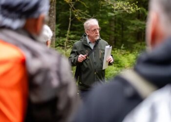 Interview Martin Hauser: Der Luchs im Nordschwarzwald