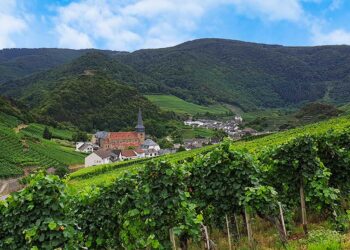 Weinbaugebiet Ahrtal – Tipps für deinen Urlaub im Spätburgunderland