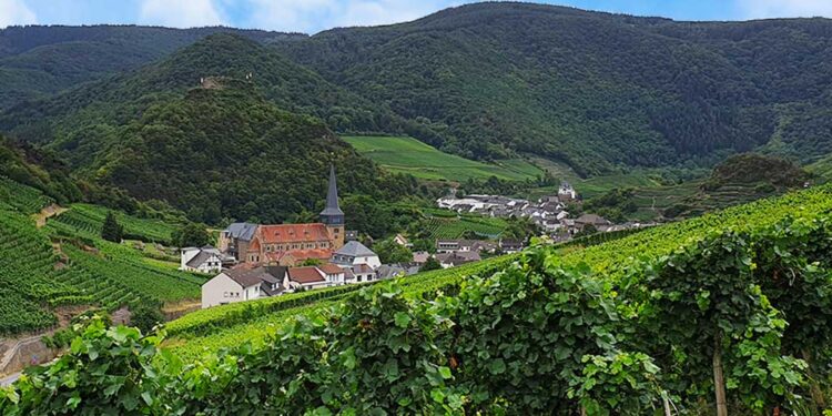 Weinbaugebiet Ahrtal – Tipps für deinen Urlaub im Spätburgunderland