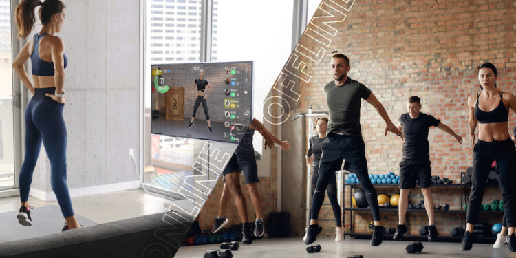 Wondercise: Der Fitness-Revolutionär?