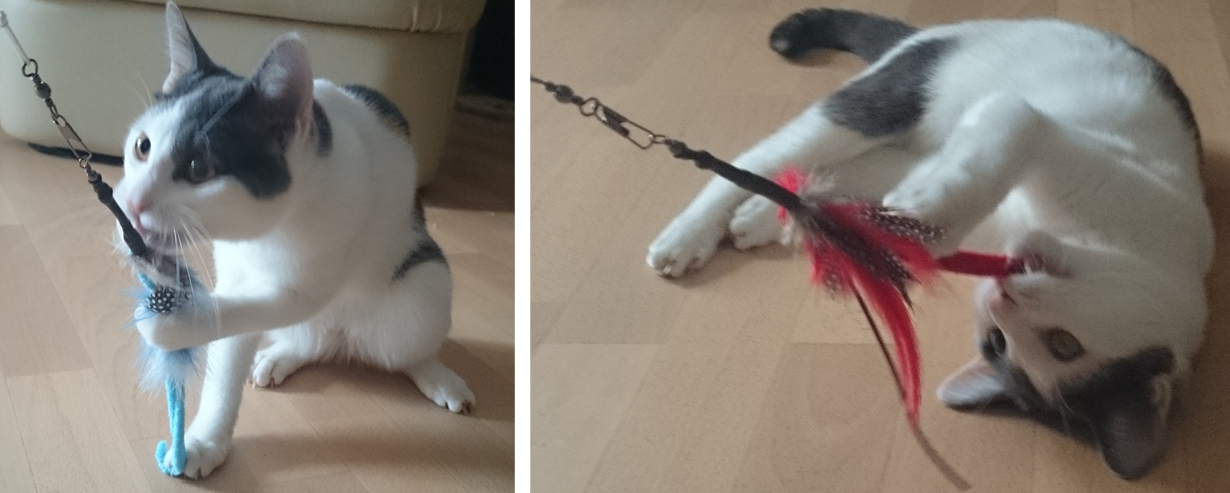 katzenspielzeug_selberbasteln