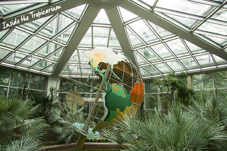Der sich drehende Globus im Tropicarium im Palmengarten in Frankfurt am Main, Deutschland