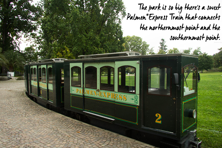 Der Palmengarten ist so groß, dass es einen tollen Palmen-Expresszug gibt, der den nördlichsten und den südlichsten Punkt verbindet.