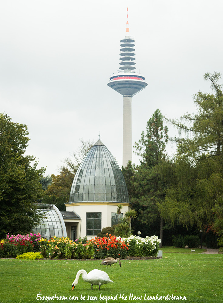 Der Europaturm ist hinter dem Haus Leonhardsbrunn im Palmengarten in Frankfurt am Main zu sehen