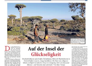 Orientaltours Reiseblog: Sokotrareise von Marc Vorsatz, Reisejournalist